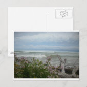 Carte Postale Fleurs de plage (Devant / Derrière)