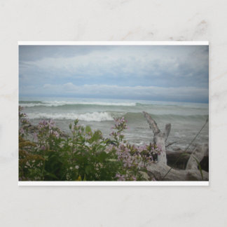 Carte Postale Fleurs de plage