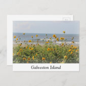 Carte postale Fleurs de plage de l'île Galveston (Devant / Derrière)