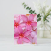 CARTE POSTALE FLEURS DE PLUMÉRIA TROPICALES (Debout devant)