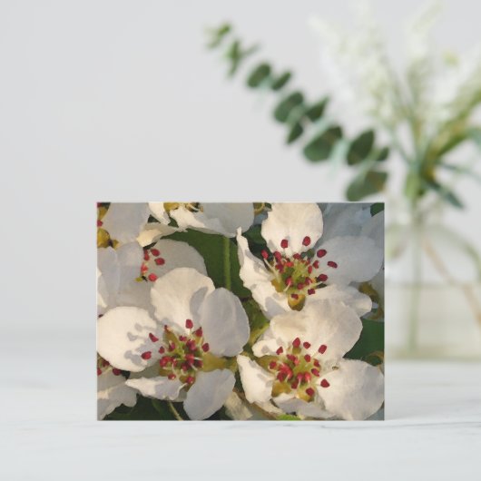 Carte Postale Fleurs de poire (Debout devant)