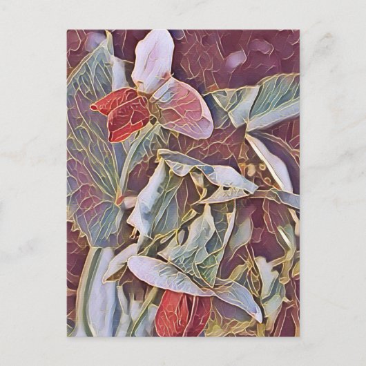 CARTE POSTALE FLEURS DE POIS DOUCES (Devant)