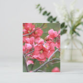 Carte Postale Fleurs de pomme de crabe (Debout devant)