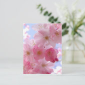 Carte Postale fleurs de pommes (Debout devant)