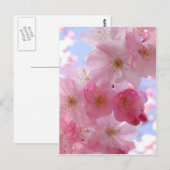 Carte Postale fleurs de pommes (Devant / Derrière)