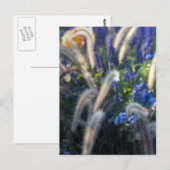 Carte Postale Fleurs de Prairie Rêveuse (Devant / Derrière)
