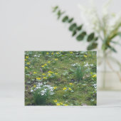 Carte postale Fleurs de printemps (Debout devant)