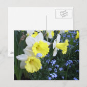 Carte postale Fleurs de printemps (Devant / Derrière)