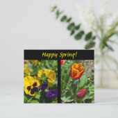 Carte Postale Fleurs de printemps (Debout devant)