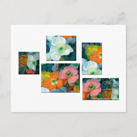 Carte Postale Fleurs de printemps (Devant)