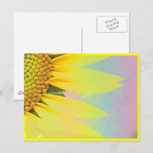 Carte Postale Fleurs de printemps (Devant / Derrière)