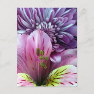 Carte Postale Fleurs de printemps