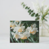 Carte Postale Fleurs de printemps (Debout devant)