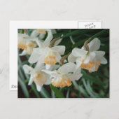 Carte Postale Fleurs de printemps (Devant / Derrière)