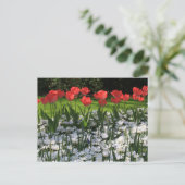 Carte Postale Fleurs de printemps (Debout devant)