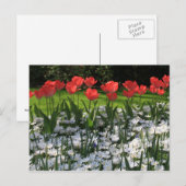 Carte Postale Fleurs de printemps (Devant / Derrière)