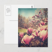 Carte Postale Fleurs de printemps (Devant / Derrière)