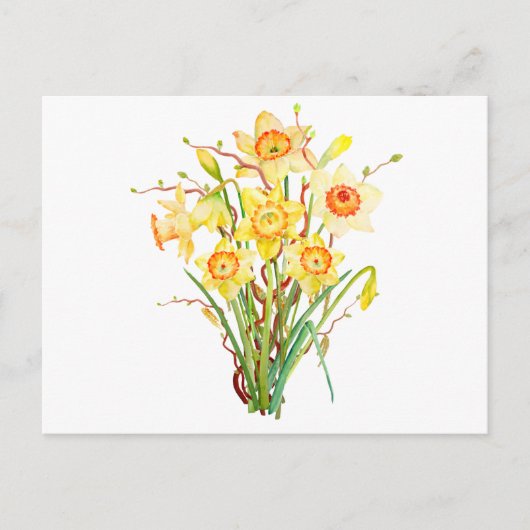 Carte Postale Fleurs de printemps à l'aquarelle jonquilles (Devant)