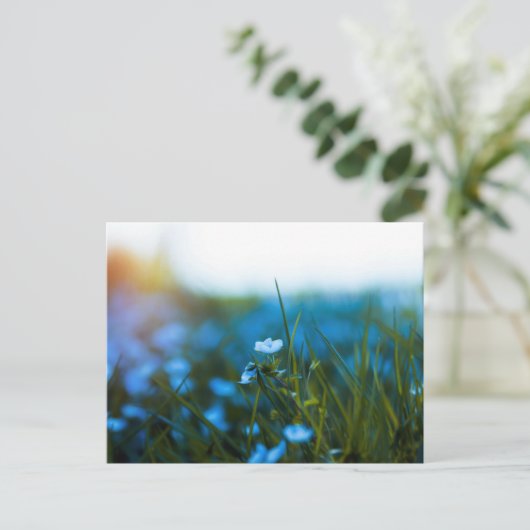 Carte Postale Fleurs de printemps dans le champ (Debout devant)