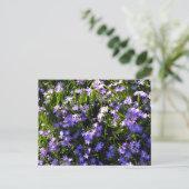 Carte Postale Fleurs de printemps de Scille bleue (Debout devant)