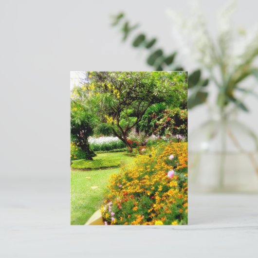 Carte Postale Fleurs de printemps en Funchal, Madère (Portugal) (Debout devant)