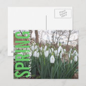 Carte Postale Fleurs de printemps, gouttes de neige blanches à f (Devant / Derrière)