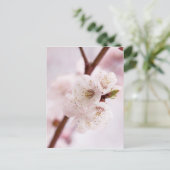 Carte Postale Fleurs de printemps roses (Debout devant)
