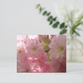 Carte Postale Fleurs de printemps roses (Debout devant)