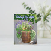 Carte Postale Fleurs de printemps Salutations de Napa (Debout devant)