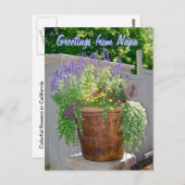 Carte Postale Fleurs de printemps Salutations de Napa (Devant / Derrière)