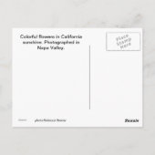 Carte Postale Fleurs de printemps Salutations de Napa (Dos)