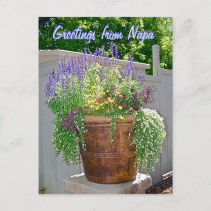 Carte Postale Fleurs de printemps Salutations de Napa