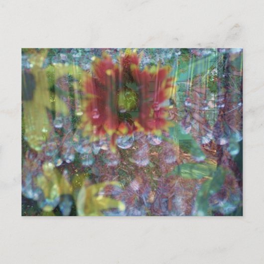Carte Postale Fleurs de prison (Devant)