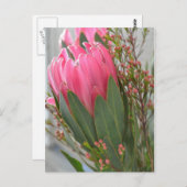 Carte Postale Fleurs de Protea hawaïennes (Devant / Derrière)