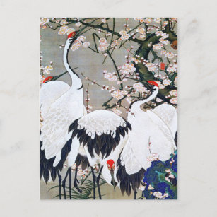Fleur de Cerisier de Jakuchu Ito | Reproduction Fine Art