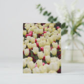 Carte Postale Fleurs de ressort douces (Debout devant)