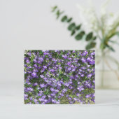 Carte postale Fleurs de ressort violet (Debout devant)