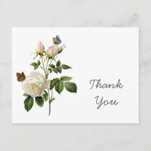 Carte Postale Fleurs de rose blanche vintage merci