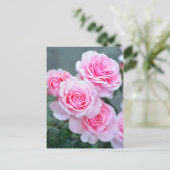 Carte Postale Fleurs de rose rose (Debout devant)