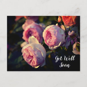 Carte Postale Fleurs de rose rose du jardin, prompt rétablisseme