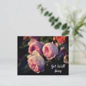 Carte Postale Fleurs de rose rose du jardin rétablissez-vous vit (Debout devant)