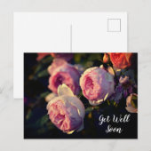 Carte Postale Fleurs de rose rose du jardin rétablissez-vous vit (Devant / Derrière)