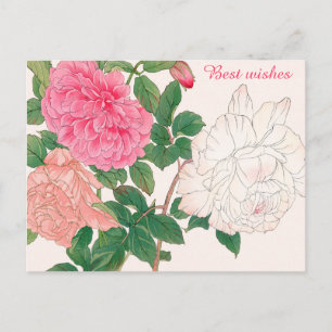 Carte Postale Fleurs de rose rose et blanc Feuilles vertes Meill