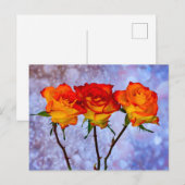 Carte postale Fleurs de roses orange et jaune alig (Devant / Derrière)