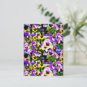 Carte Postale fleurs de sansy multicolores (Debout devant)