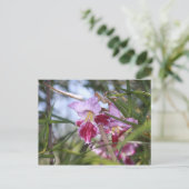 Carte Postale Fleurs de Sedona (Debout devant)