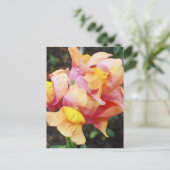 Carte Postale Fleurs de Snapdragon Orange Lumineux (Debout devant)