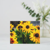 Carte Postale Fleurs de soleil (Debout devant)