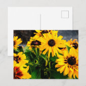 Carte Postale Fleurs de soleil (Devant / Derrière)