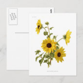 Carte Postale Fleurs de soleil (Devant / Derrière)